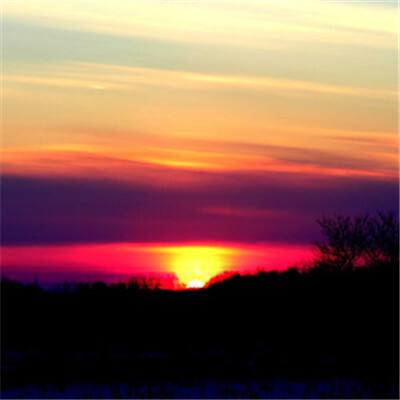 香港2023正版免费资料下载手机版截图